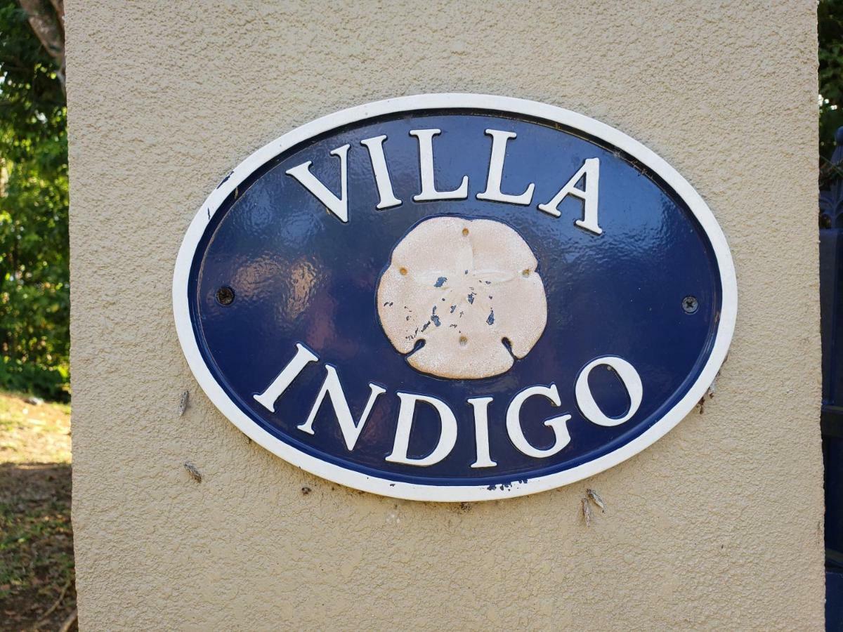 Villa Indigo Sunny 1Br Apartment In Private Gated Estate Charlotte Amalie Zewnętrze zdjęcie