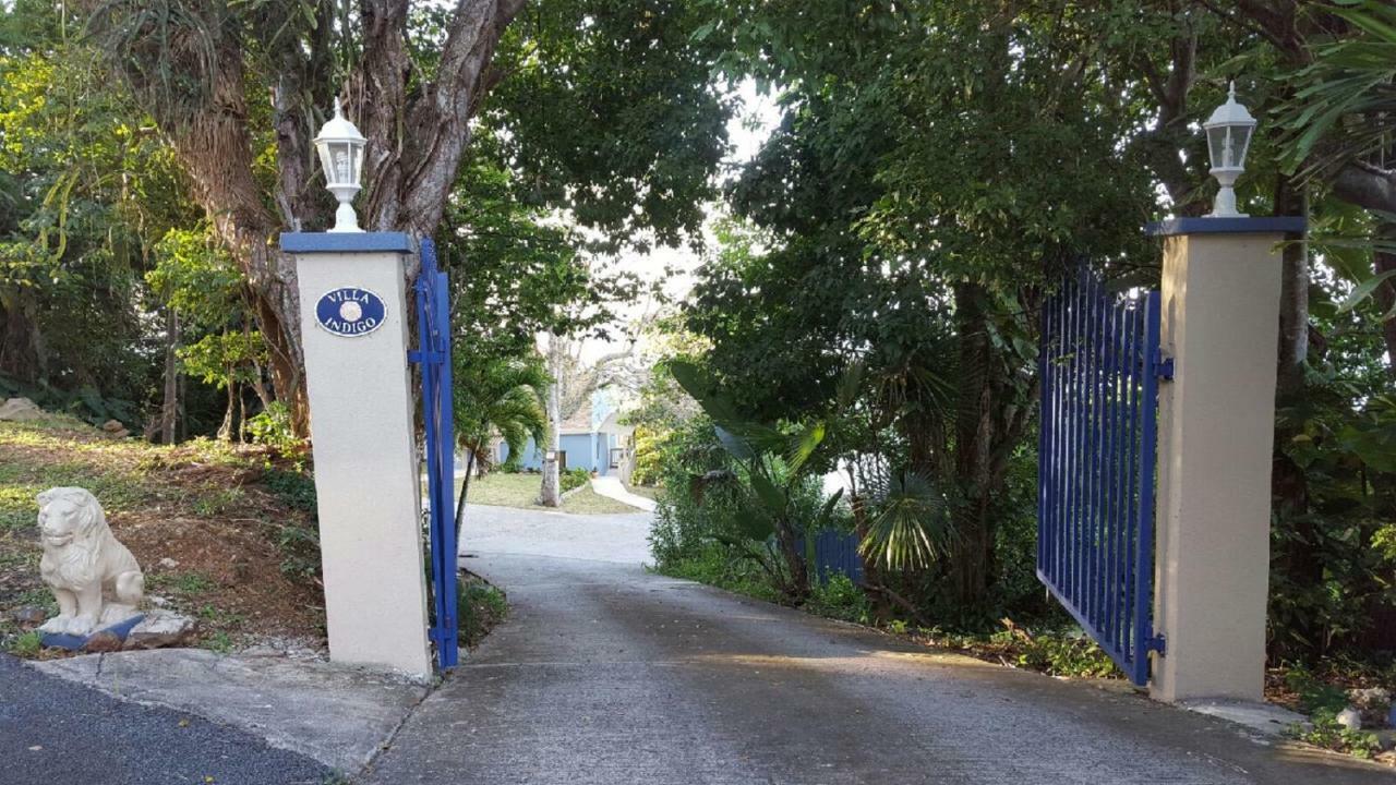 Villa Indigo Sunny 1Br Apartment In Private Gated Estate Charlotte Amalie Zewnętrze zdjęcie