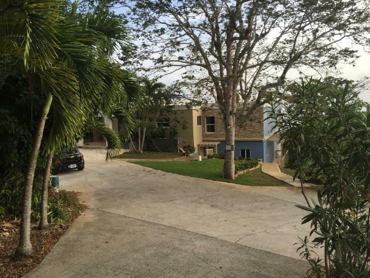Villa Indigo Sunny 1Br Apartment In Private Gated Estate Charlotte Amalie Zewnętrze zdjęcie