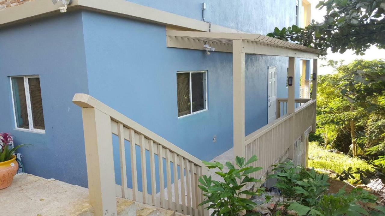 Villa Indigo Sunny 1Br Apartment In Private Gated Estate Charlotte Amalie Zewnętrze zdjęcie